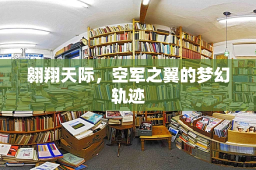 翱翔天际，空军之翼的梦幻轨迹