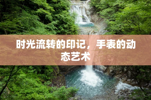 时光流转的印记，手表的动态艺术