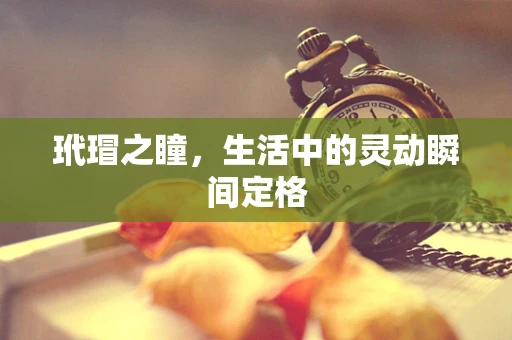 玳瑁之瞳，生活中的灵动瞬间定格