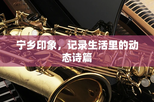 宁乡印象，记录生活里的动态诗篇