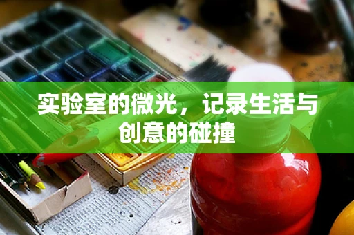 实验室的微光，记录生活与创意的碰撞