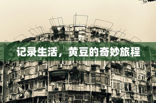 记录生活，黄豆的奇妙旅程
