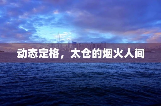 动态定格，太仓的烟火人间