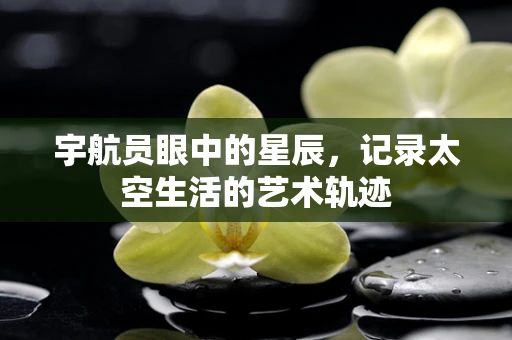 宇航员眼中的星辰，记录太空生活的艺术轨迹