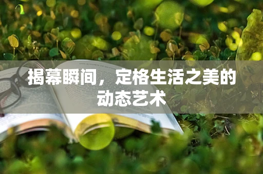 揭幕瞬间，定格生活之美的动态艺术