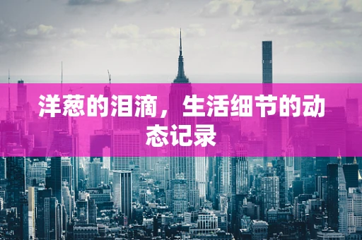 洋葱的泪滴，生活细节的动态记录