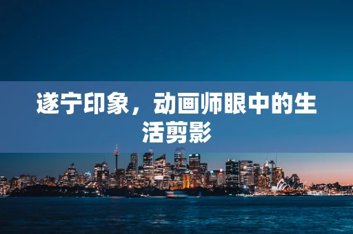 遂宁印象，动画师眼中的生活剪影