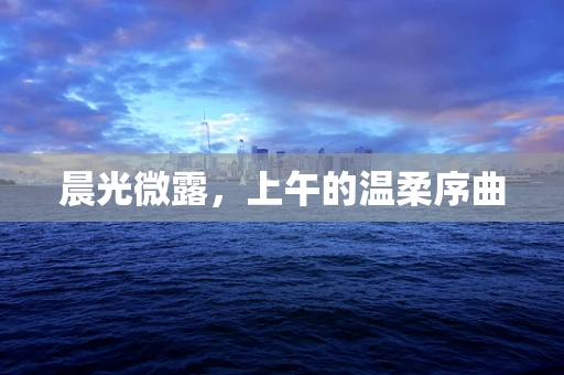 晨光微露，上午的温柔序曲