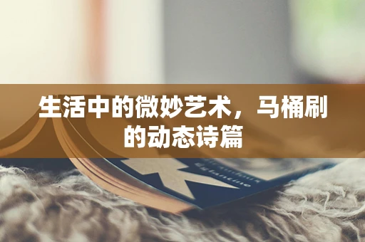 生活中的微妙艺术，马桶刷的动态诗篇