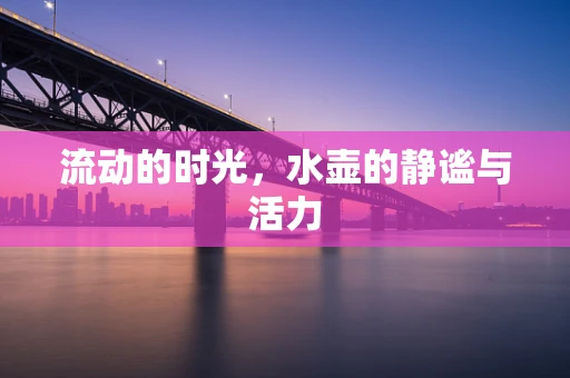 流动的时光，水壶的静谧与活力