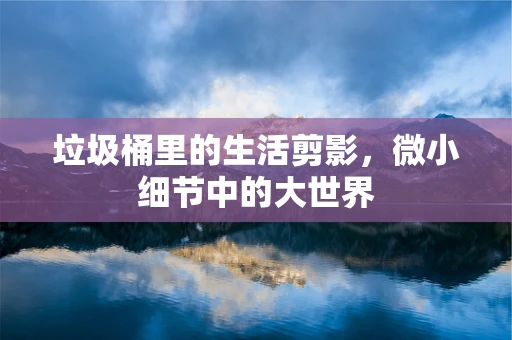 垃圾桶里的生活剪影，微小细节中的大世界