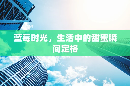 蓝莓时光，生活中的甜蜜瞬间定格