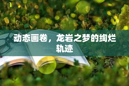 动态画卷，龙岩之梦的绚烂轨迹