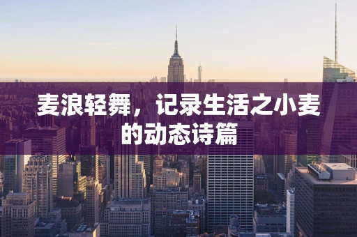 麦浪轻舞，记录生活之小麦的动态诗篇