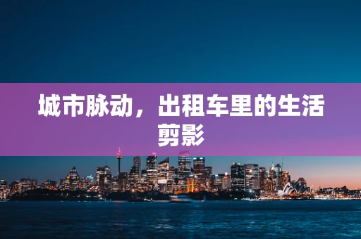 城市脉动，出租车里的生活剪影
