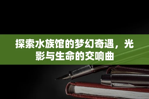 探索水族馆的梦幻奇遇，光影与生命的交响曲
