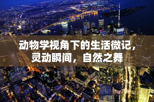 动物学视角下的生活微记，灵动瞬间，自然之舞