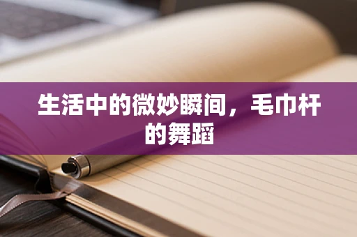 生活中的微妙瞬间，毛巾杆的舞蹈