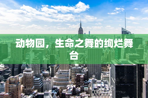动物园，生命之舞的绚烂舞台