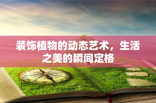 装饰植物的动态艺术，生活之美的瞬间定格