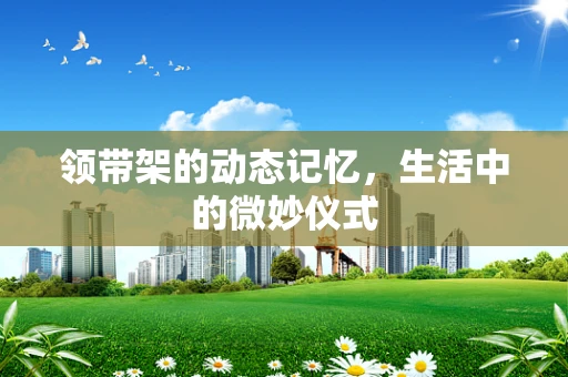 领带架的动态记忆，生活中的微妙仪式
