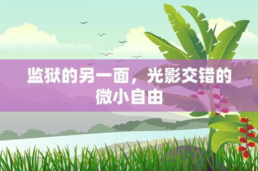 监狱的另一面，光影交错的微小自由
