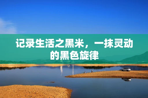 记录生活之黑米，一抹灵动的黑色旋律