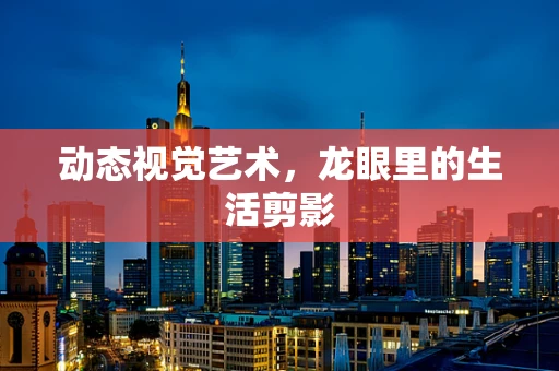 动态视觉艺术，龙眼里的生活剪影