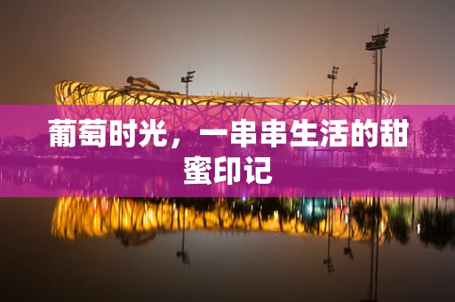 葡萄时光，一串串生活的甜蜜印记