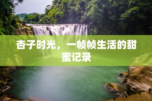 杏子时光，一帧帧生活的甜蜜记录