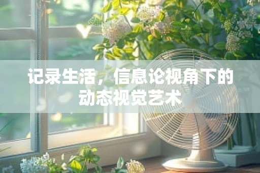 记录生活，信息论视角下的动态视觉艺术