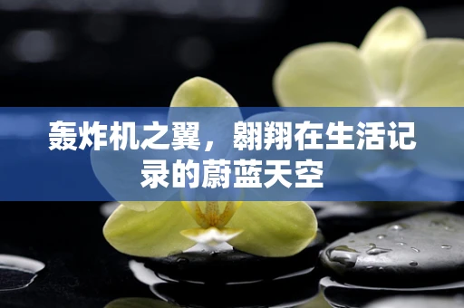 轰炸机之翼，翱翔在生活记录的蔚蓝天空
