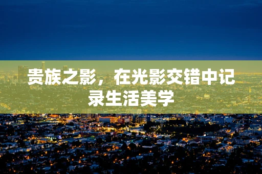 贵族之影，在光影交错中记录生活美学