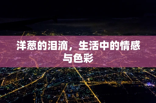 洋葱的泪滴，生活中的情感与色彩