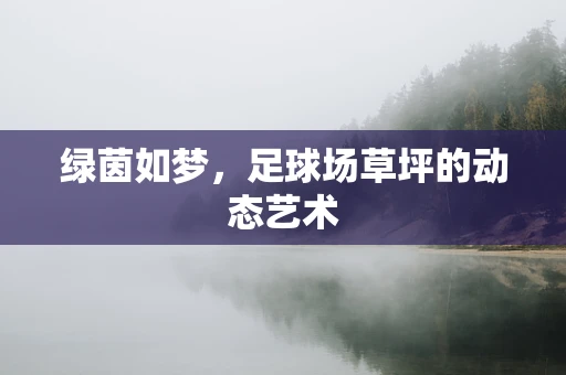 绿茵如梦，足球场草坪的动态艺术