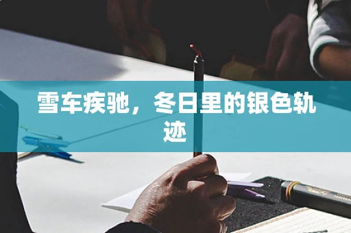 雪车疾驰，冬日里的银色轨迹