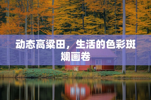 动态高粱田，生活的色彩斑斓画卷