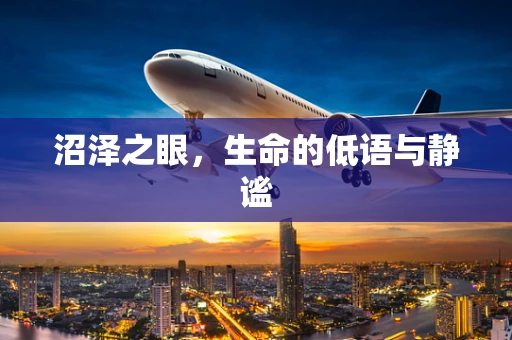 沼泽之眼，生命的低语与静谧