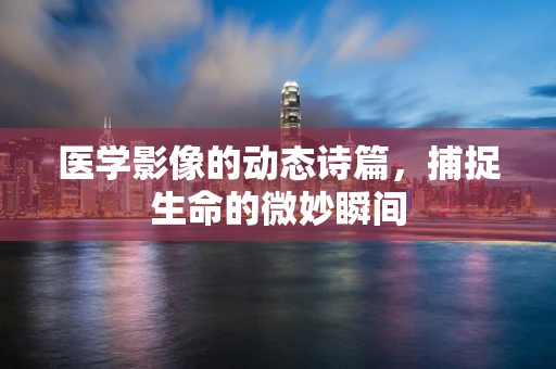 医学影像的动态诗篇，捕捉生命的微妙瞬间