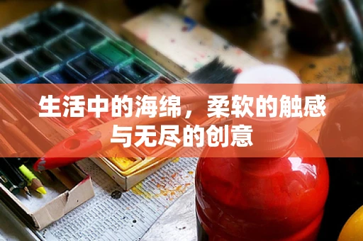 生活中的海绵，柔软的触感与无尽的创意