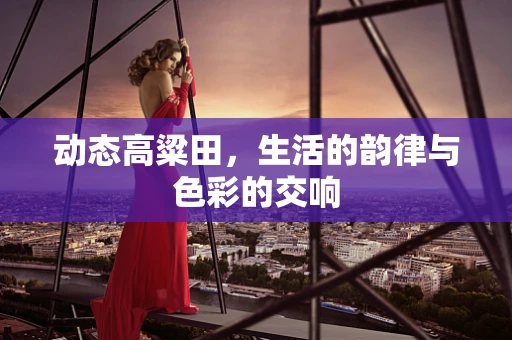 动态高粱田，生活的韵律与色彩的交响