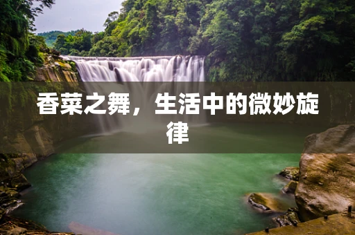 香菜之舞，生活中的微妙旋律
