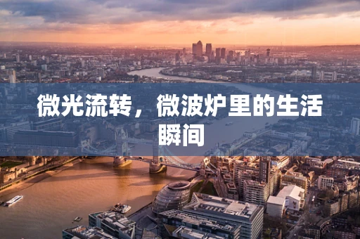 微光流转，微波炉里的生活瞬间