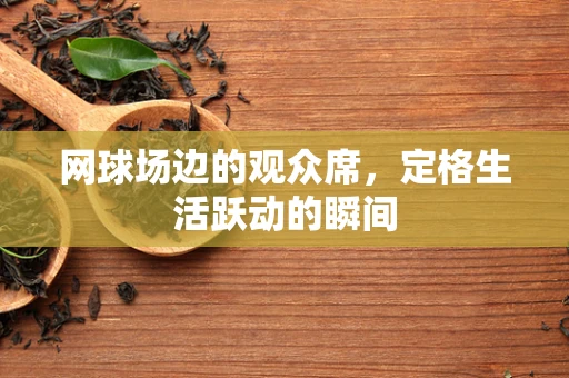 网球场边的观众席，定格生活跃动的瞬间