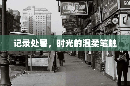 记录处暑，时光的温柔笔触