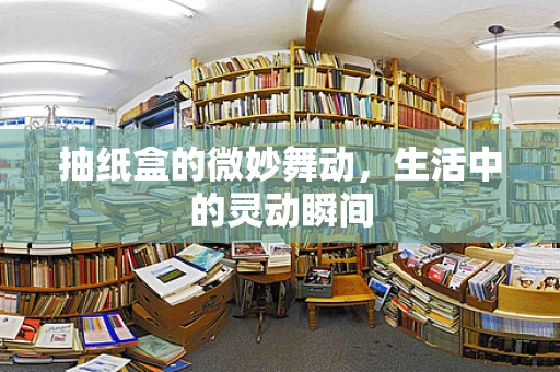 抽纸盒的微妙舞动，生活中的灵动瞬间