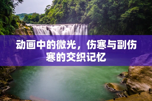 动画中的微光，伤寒与副伤寒的交织记忆