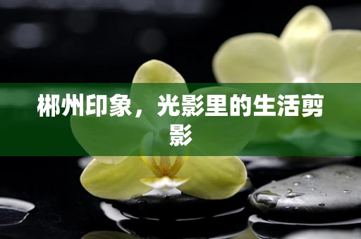 郴州印象，光影里的生活剪影