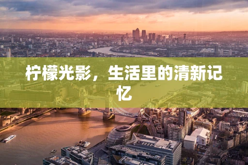 柠檬光影，生活里的清新记忆