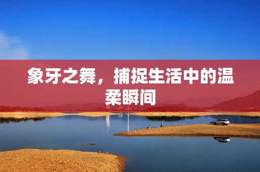 象牙之舞，捕捉生活中的温柔瞬间